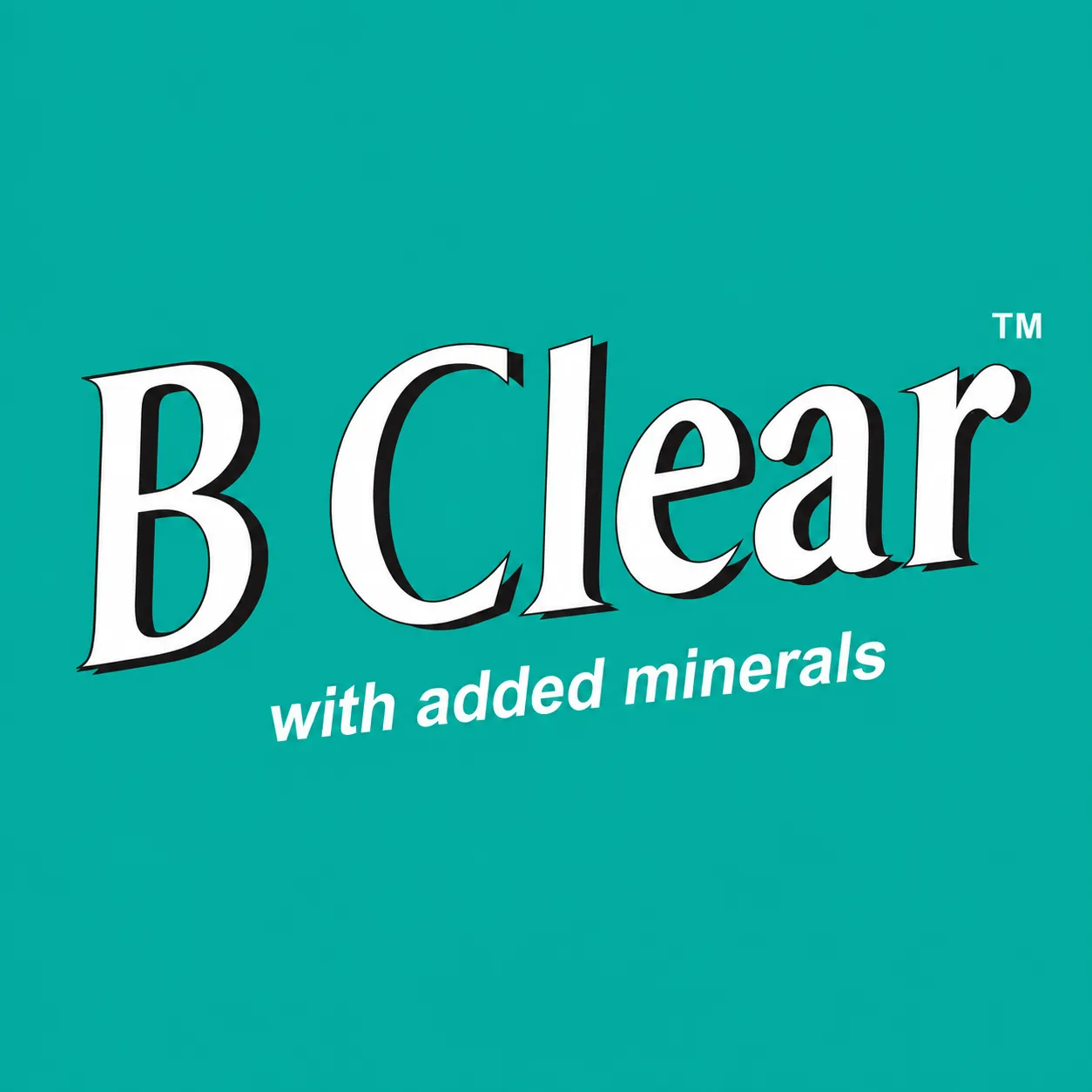 Sponsor Logo 17